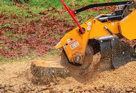 Lawn Watering Services in Croom, MD